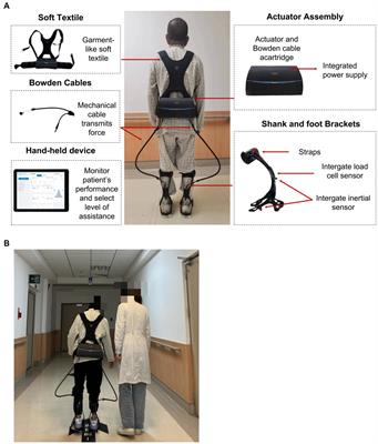 Effects of soft robotic exoskeleton for gait training on clinical and biomechanical gait outcomes in patients with sub-acute stroke: a randomized controlled pilot study